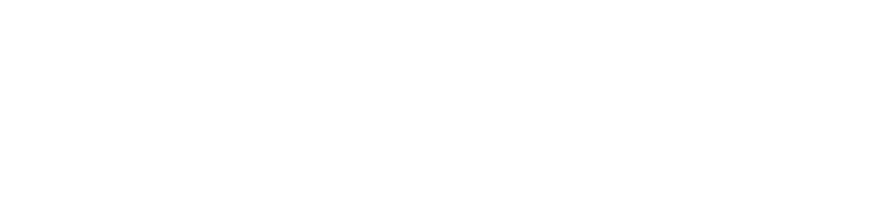 Логотип HighLoad++ 2019