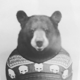 Алексей The Bear 